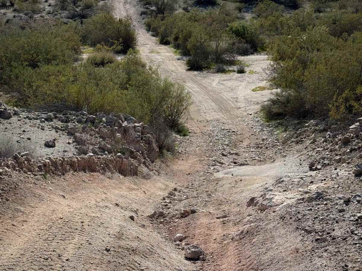 Hs71l trail photo