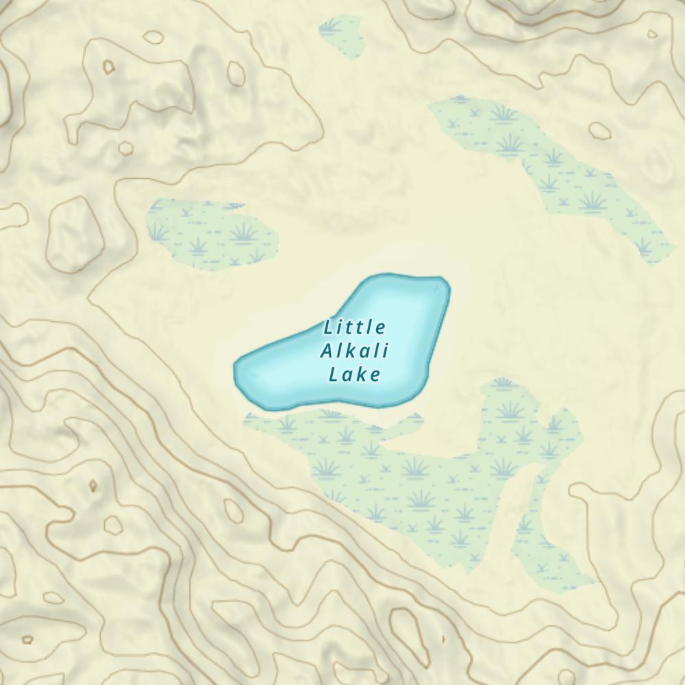 Little Alkali Lake photo