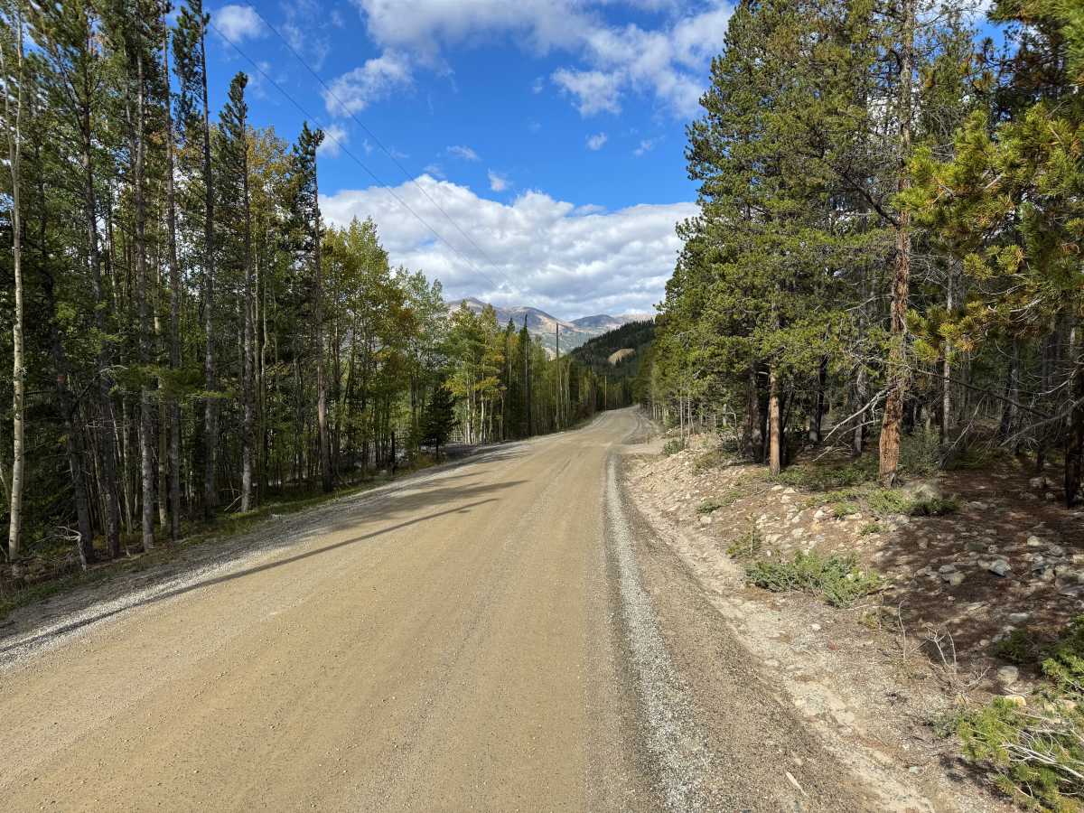 French Gulch Road photo 4
