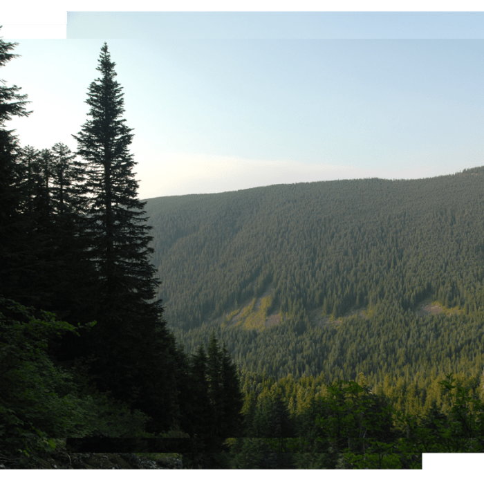 Near Serene + Rock Lakes