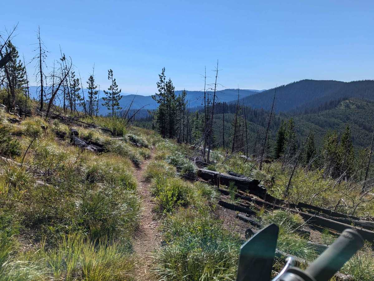 Ninemile Divide Trail trail photo
