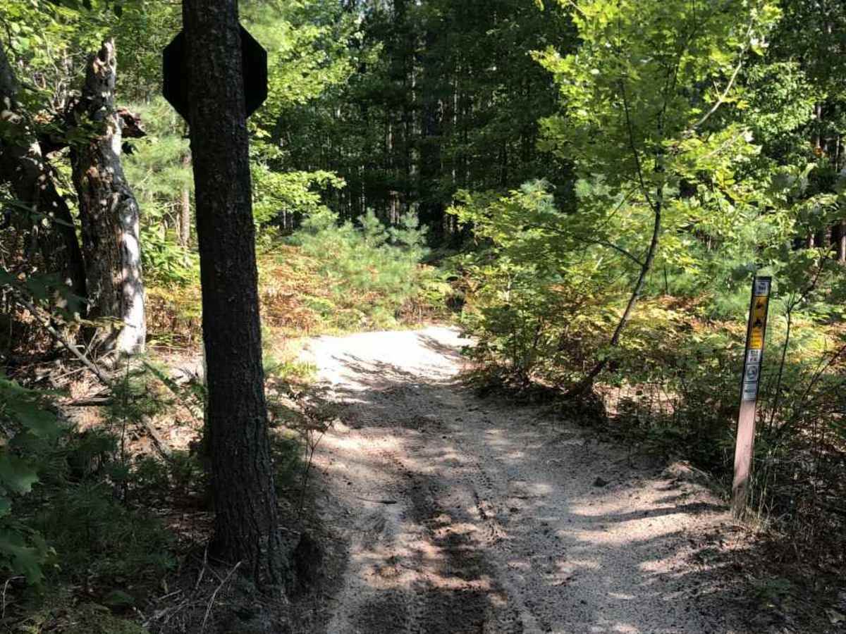 East Missaukee Trail Loop photo 6