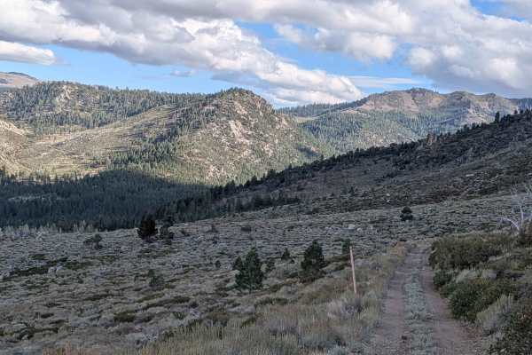 Lost Cannon Creek - FS 32212