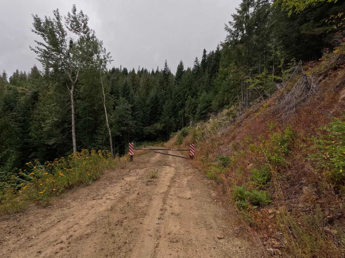 Butch Creek - FS 1142 photo 4