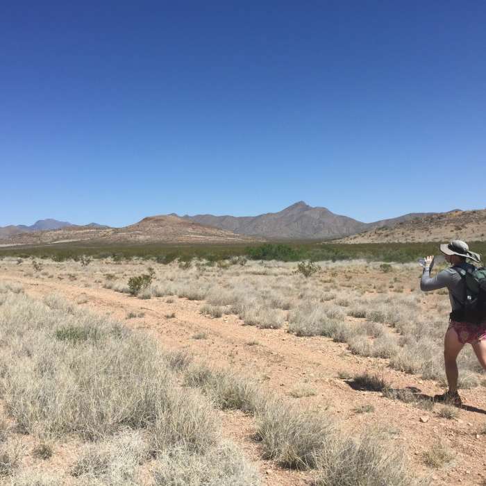 Near CDT: Mexico Border to New Mexico State Highway 81 (NM Sec. 1)
