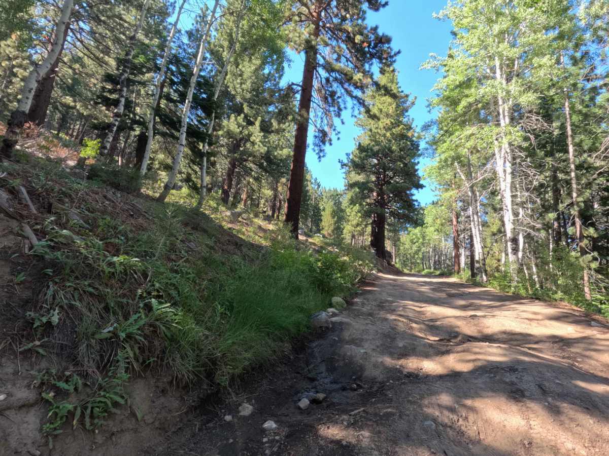 Horse Meadows Rd - FS 31051 trail photo