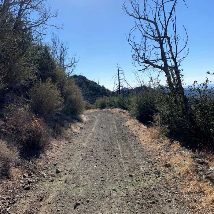 Near Mill Creek to Iron Mountain