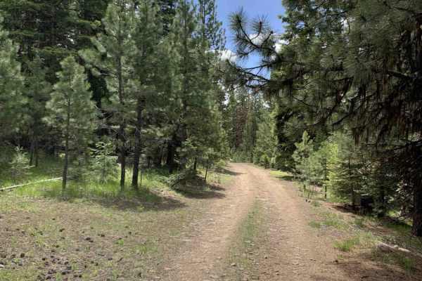 Malheur Ford