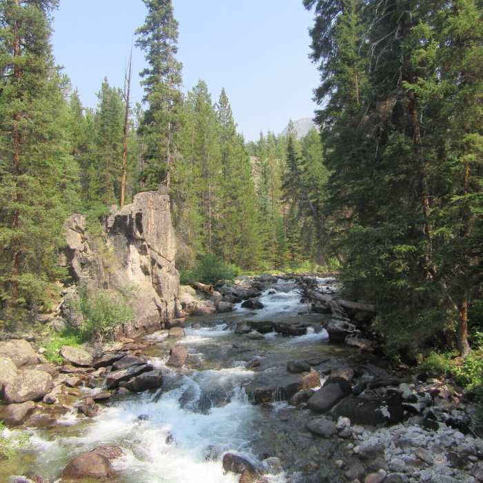Near Crows Nest Lookout Trail