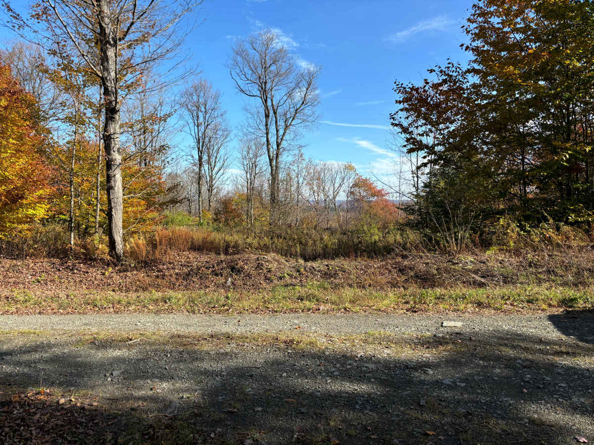 Maxon Creek State Forest photo 4