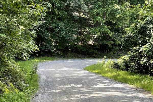 Dagger Springs Road