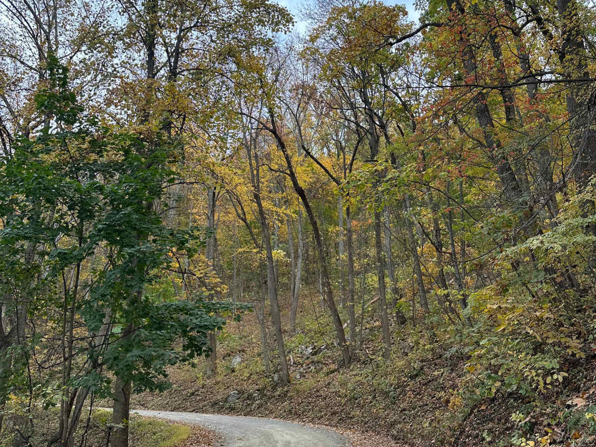Woodstock Tower Road  photo 2