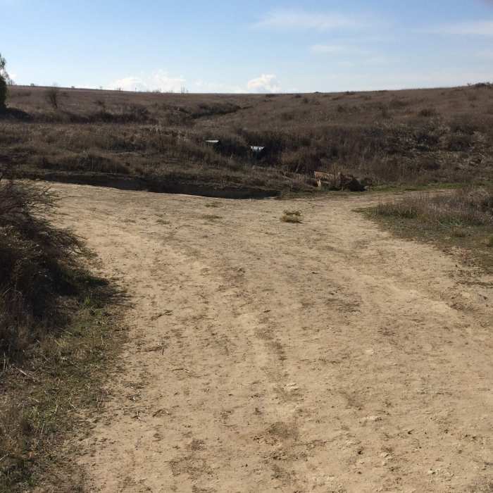 Near Mary Weisbrock Loop Trail