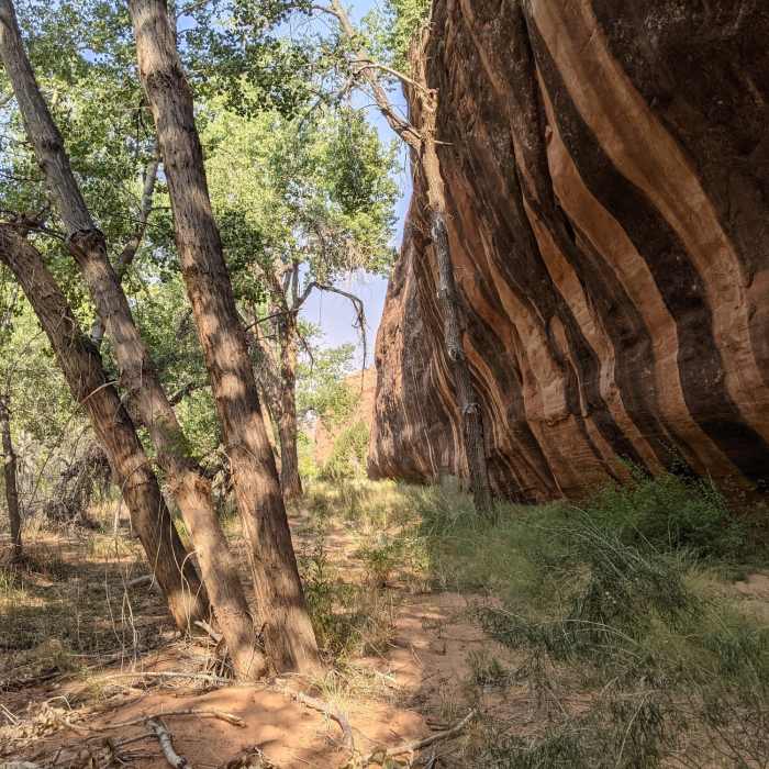 Near Lower Courthouse Wash