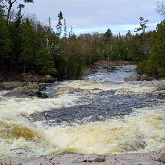 Near Pinguisibi Trail