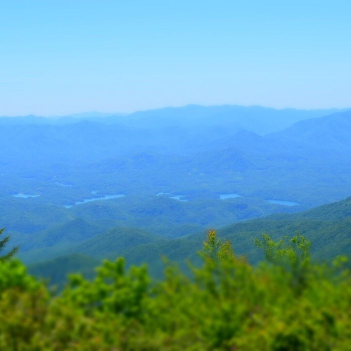 Andrews Bald. Near Andrews Bald Out and Back