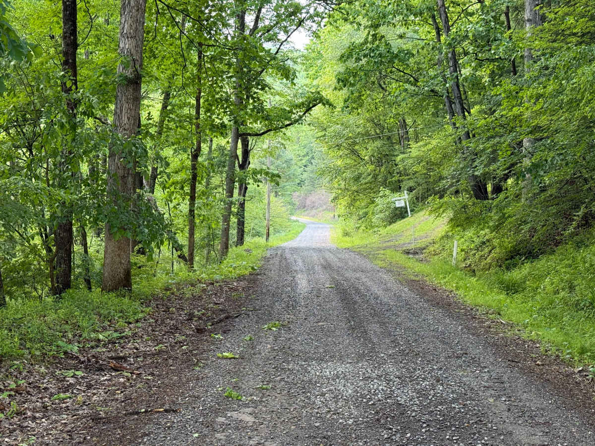 Ross Run Road - FS 85116A photo 6
