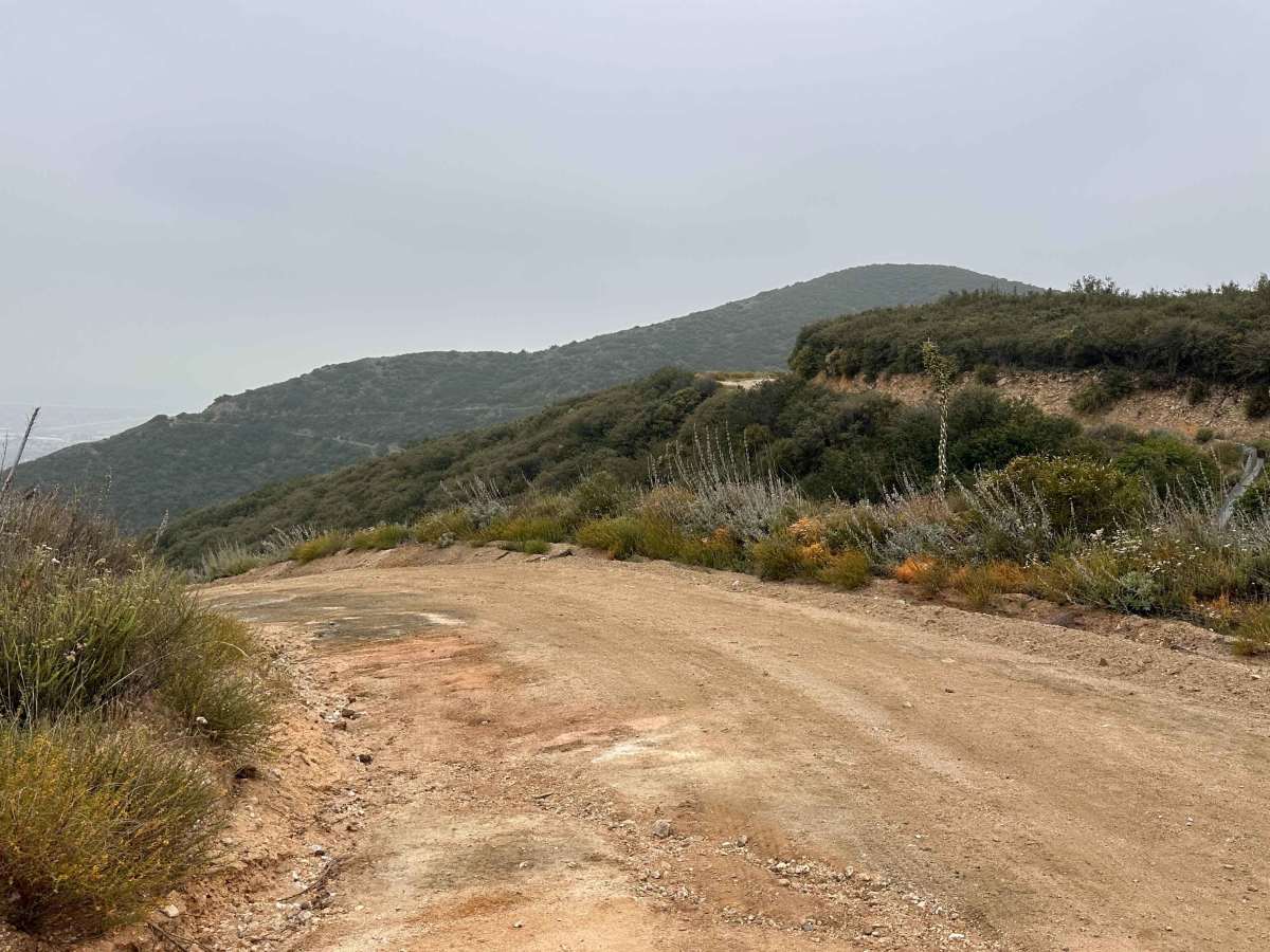 Wagon Track Trail photo 5