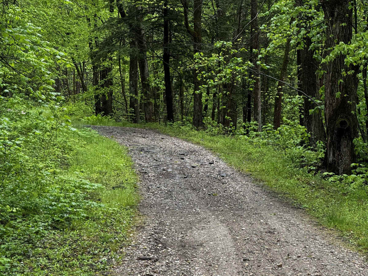 Sky Peak Road photo 3