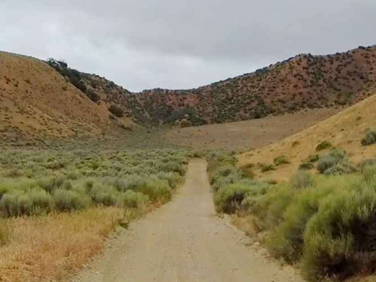 Condor Trail photo 6