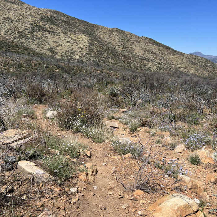 Near Ram Valley / Boulder Creek Loop