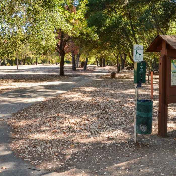 Near Serpentine Trail