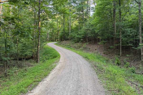 Elkins Hollow