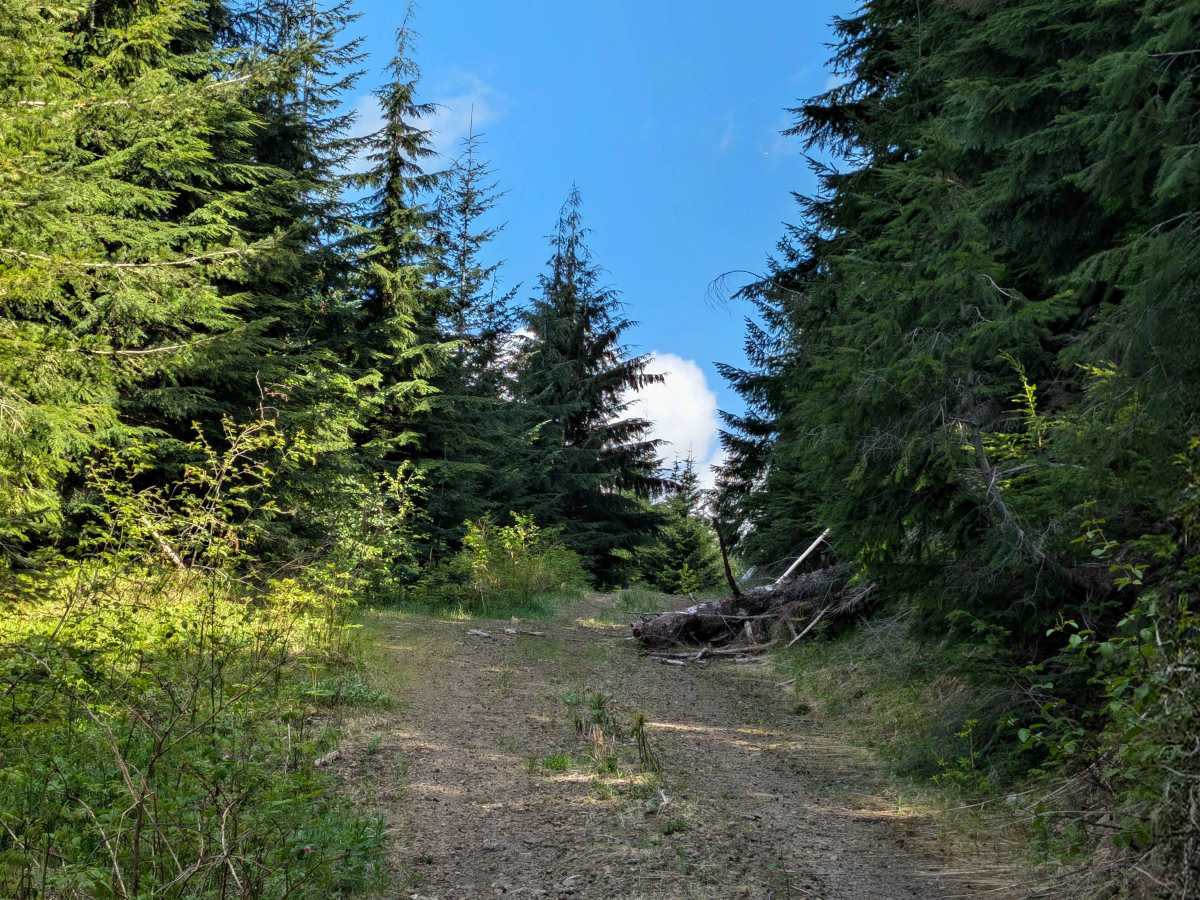 Mine Creek photo 3