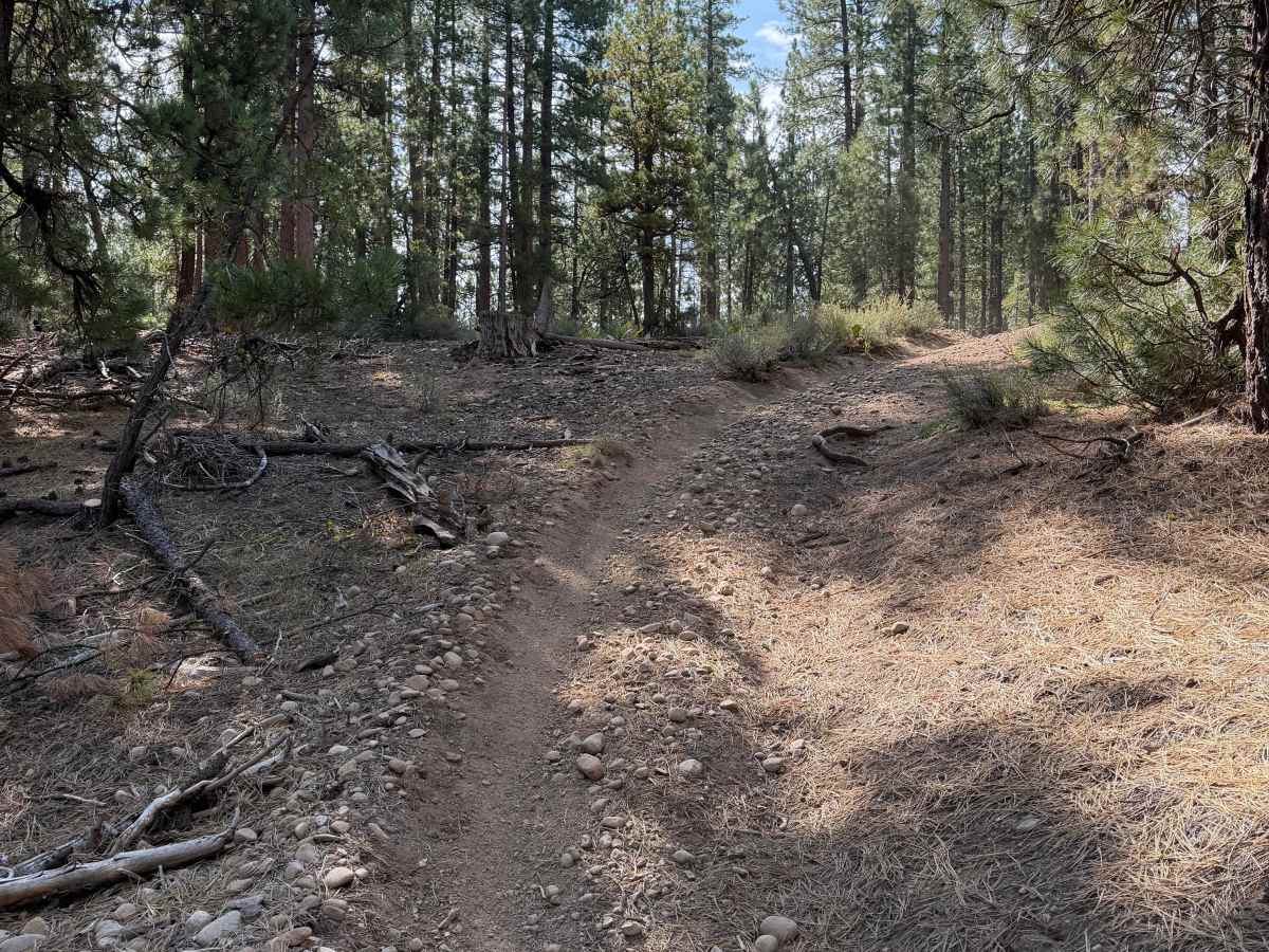 17E25 trail photo