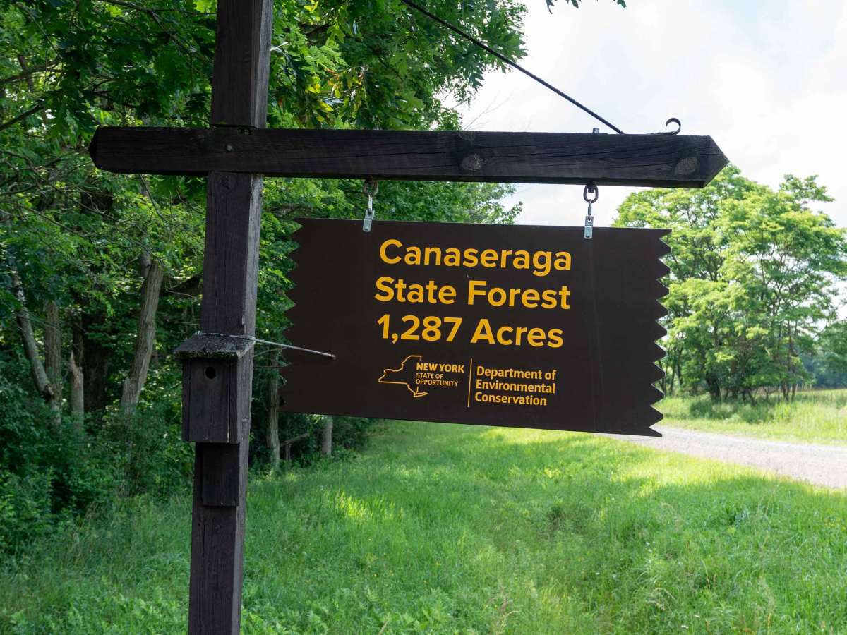 Canaseraga Truck Trail photo 2