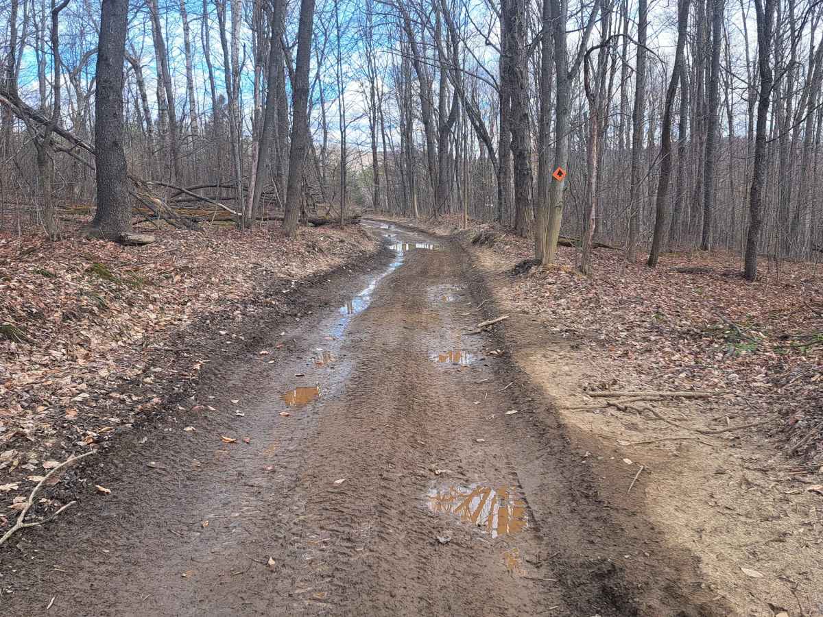Breeze Way 2 trail photo