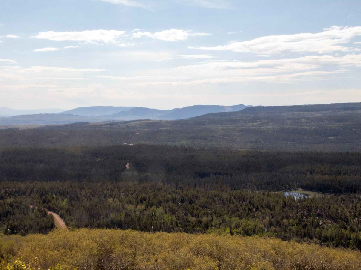 Red Mountain Lookout - FS 80132 photo 3