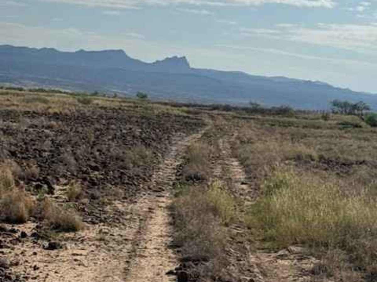 BLM SS1040 trail photo