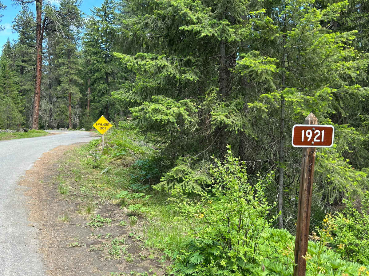 New Roost - FS 1921 trail photo