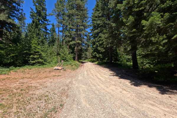 Corral Creek - FS 4305
