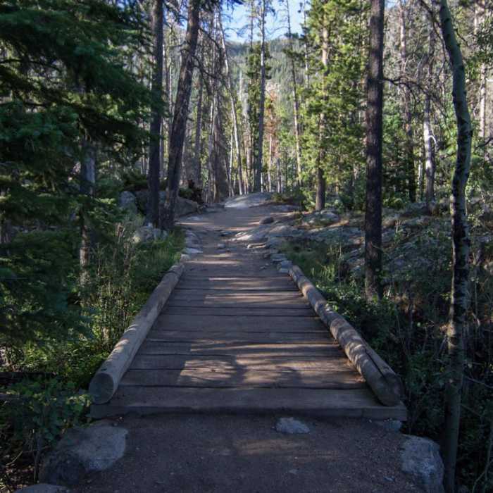 Near Adams Falls Loop