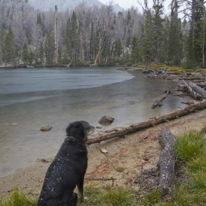 Near Bellas Lakes Near Bellas Lakes