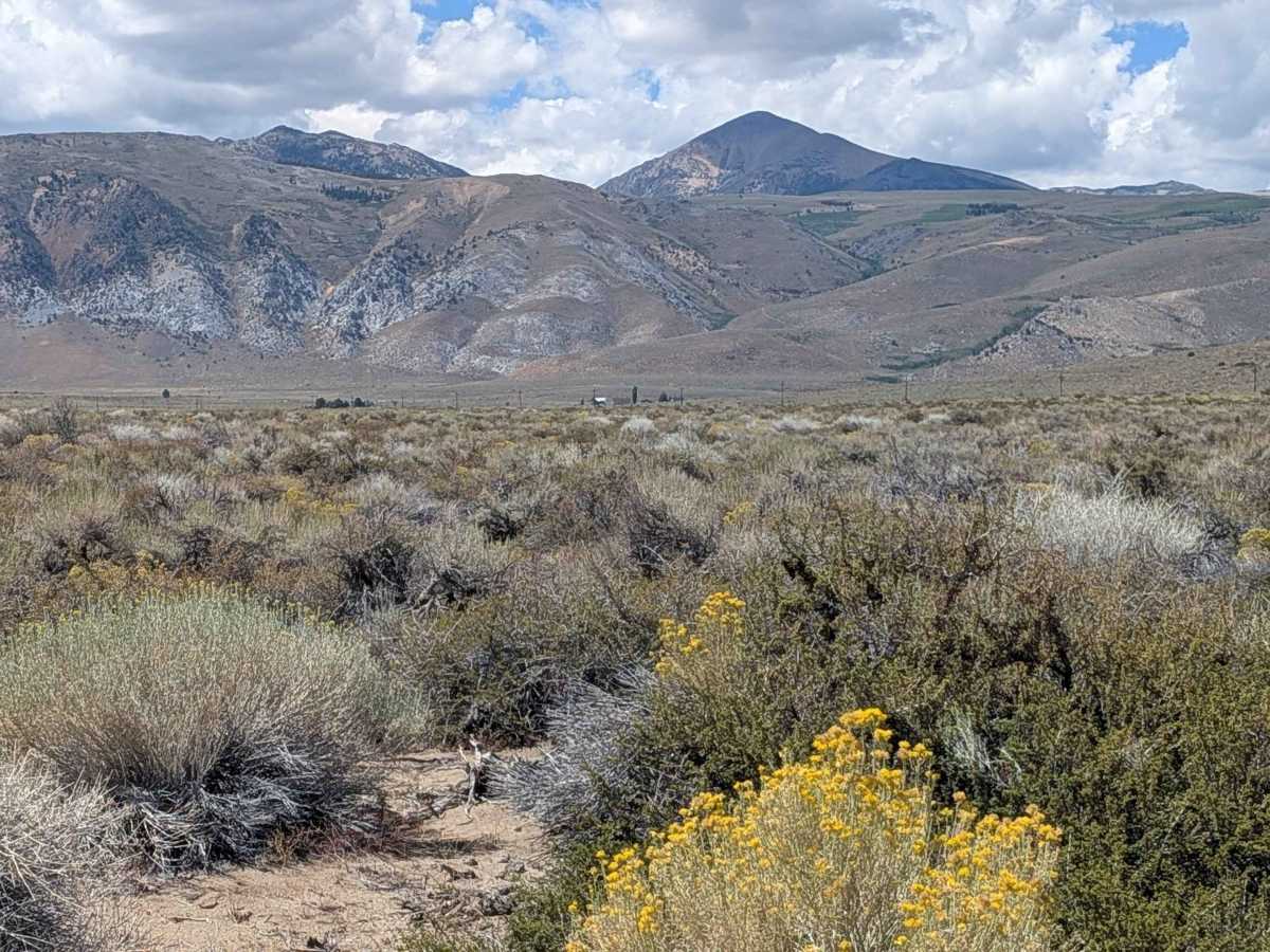 Conway Ranch Road photo 2