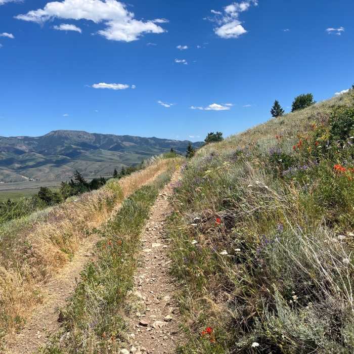 Near Bell Marsh-Walker-Goodenough
