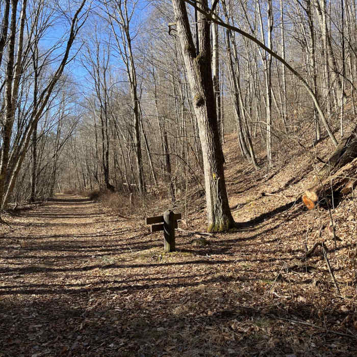 Near Hickory Run - Fireline - Skyline Loop