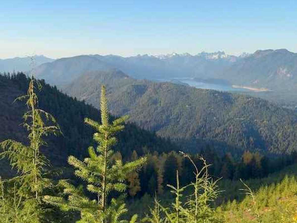 Tucker Creek Road trail photo