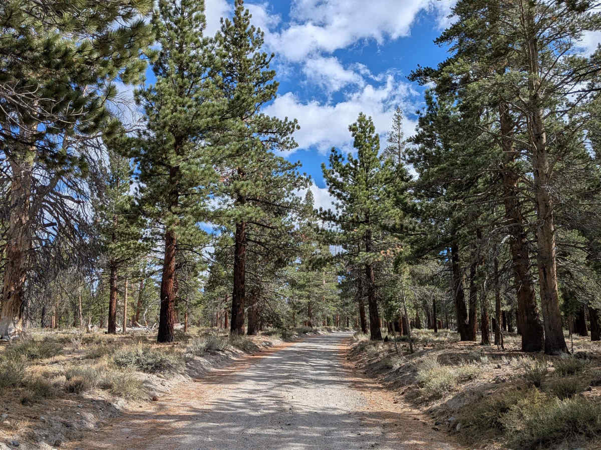 Crooked Meadow Road West photo 3