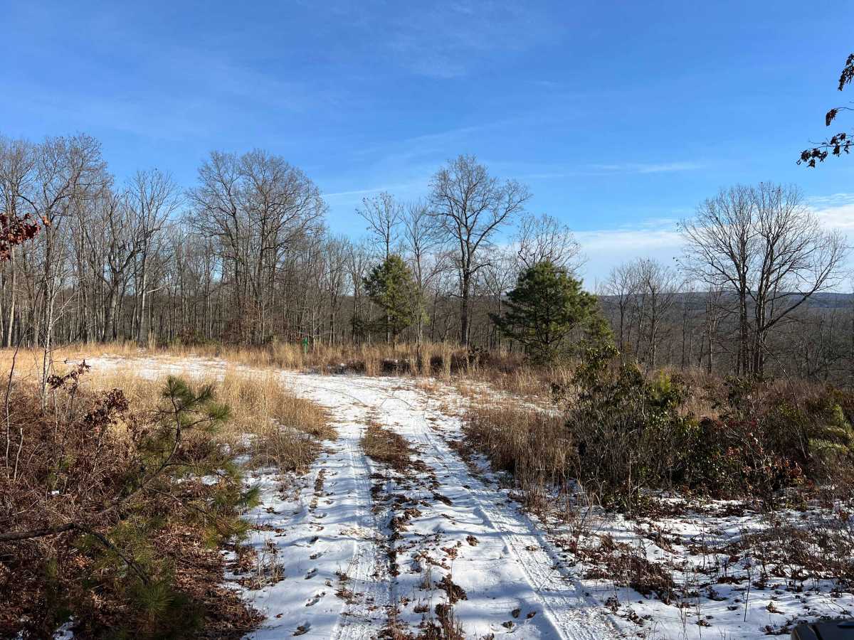 Coffer's Camp Trail trail photo