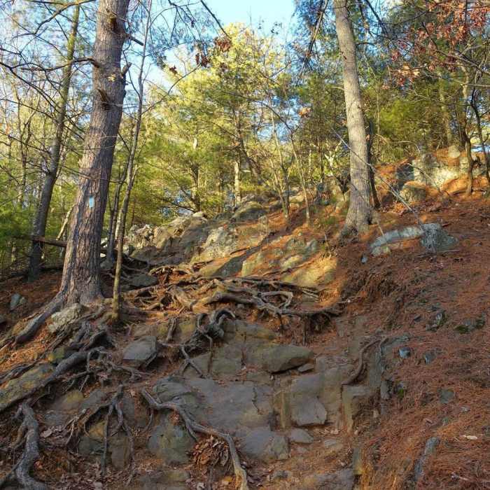 Near Blue Hills Loop