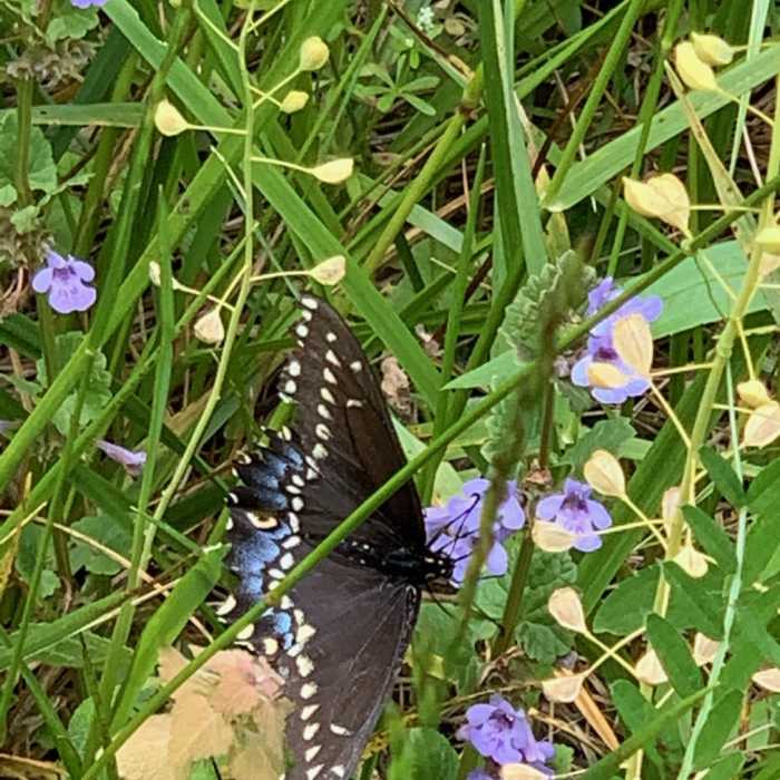 Near Porter West Preserve