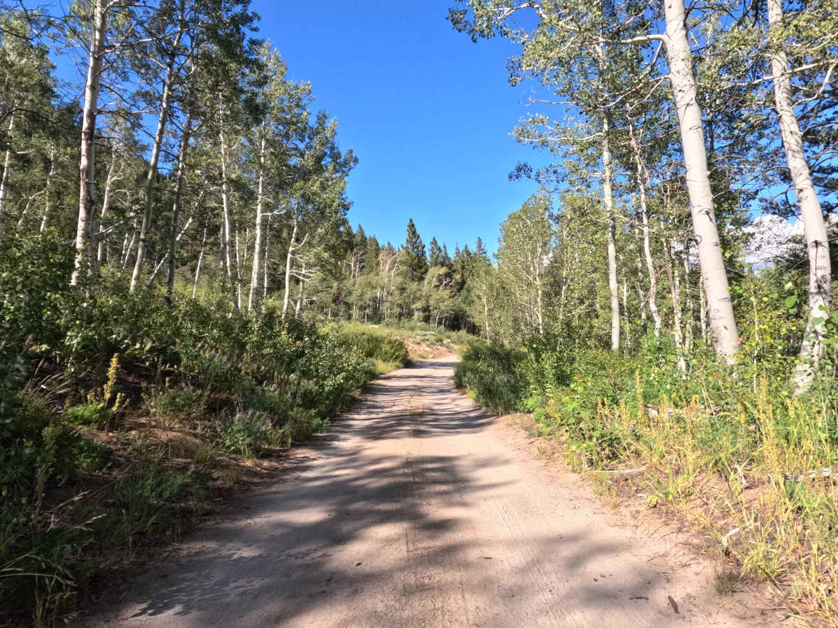 Horse Meadows Rd - FS 31051 photo 6