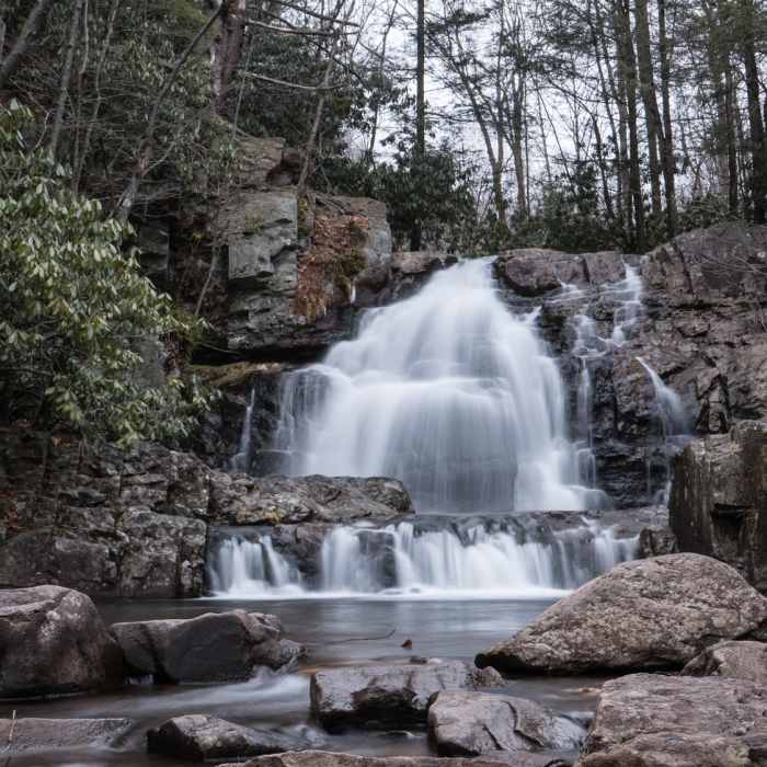 Near Hawk Falls Trail