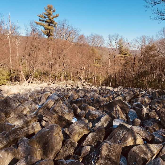 River of rocks. Near Hawk Mountain Sanctuary Loop
