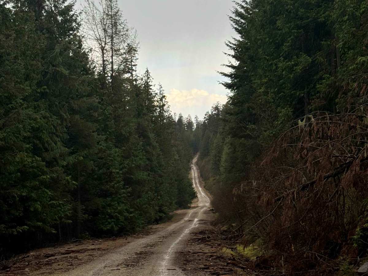 Taylor Ridge Trail photo 6
