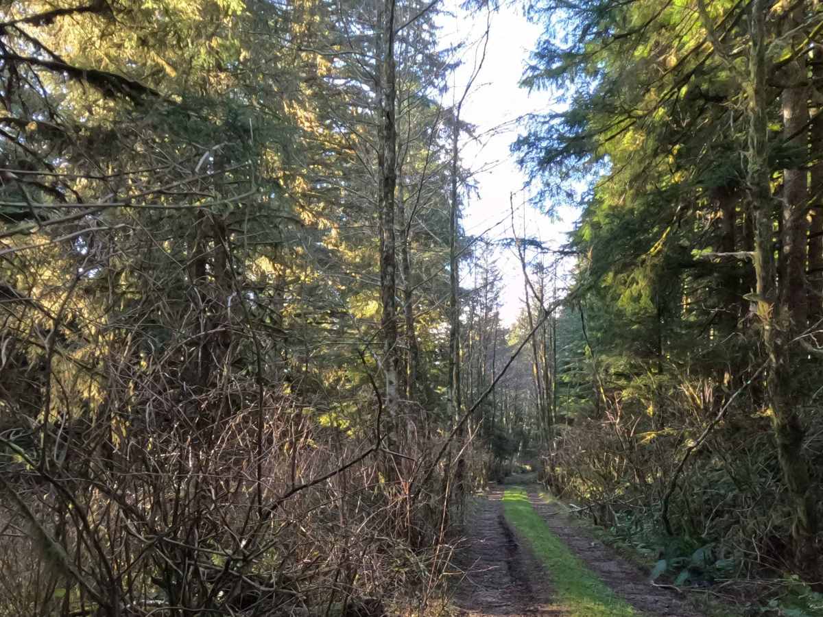 Miles Mountain photo 2